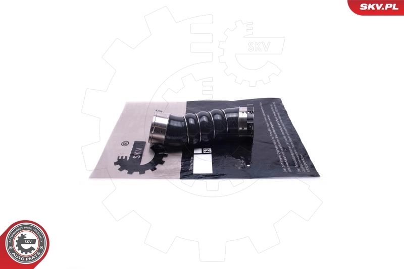 Radiator Hose